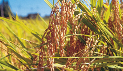 不朽情缘(MG)官网登录入口