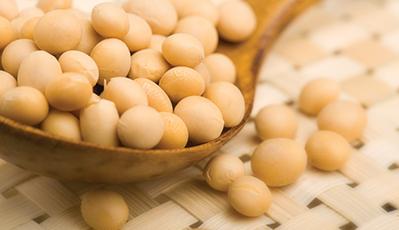 不朽情缘(MG)官网登录入口