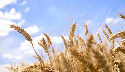 不朽情缘(MG)官网登录入口