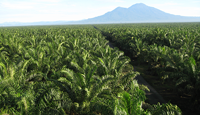 不朽情缘(MG)官网登录入口