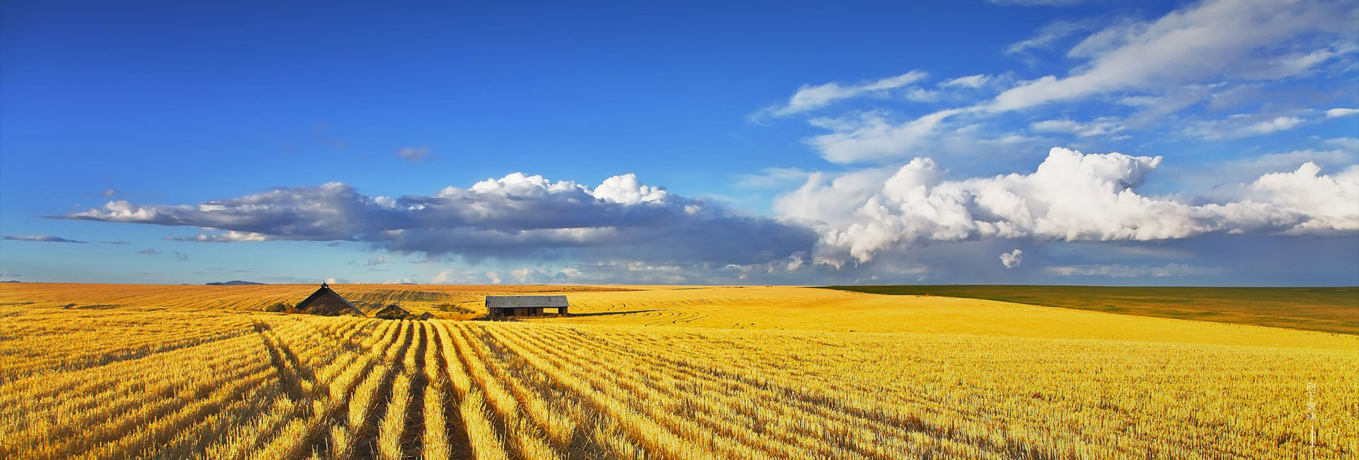 不朽情缘(MG)官网登录入口