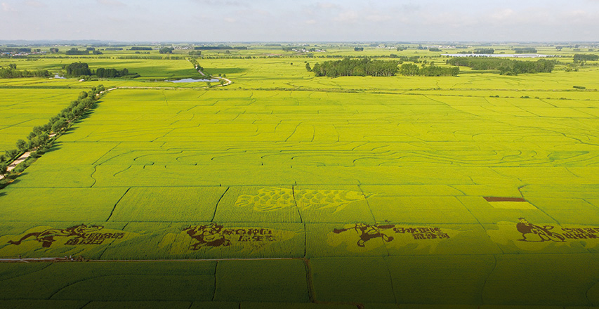 不朽情缘(MG)官网登录入口