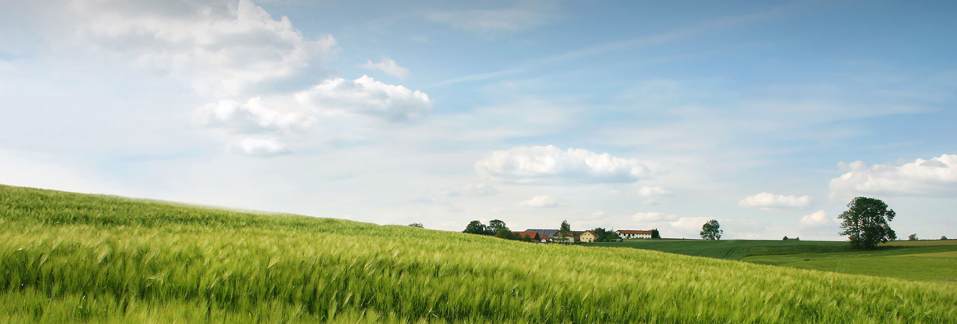 不朽情缘(MG)官网登录入口