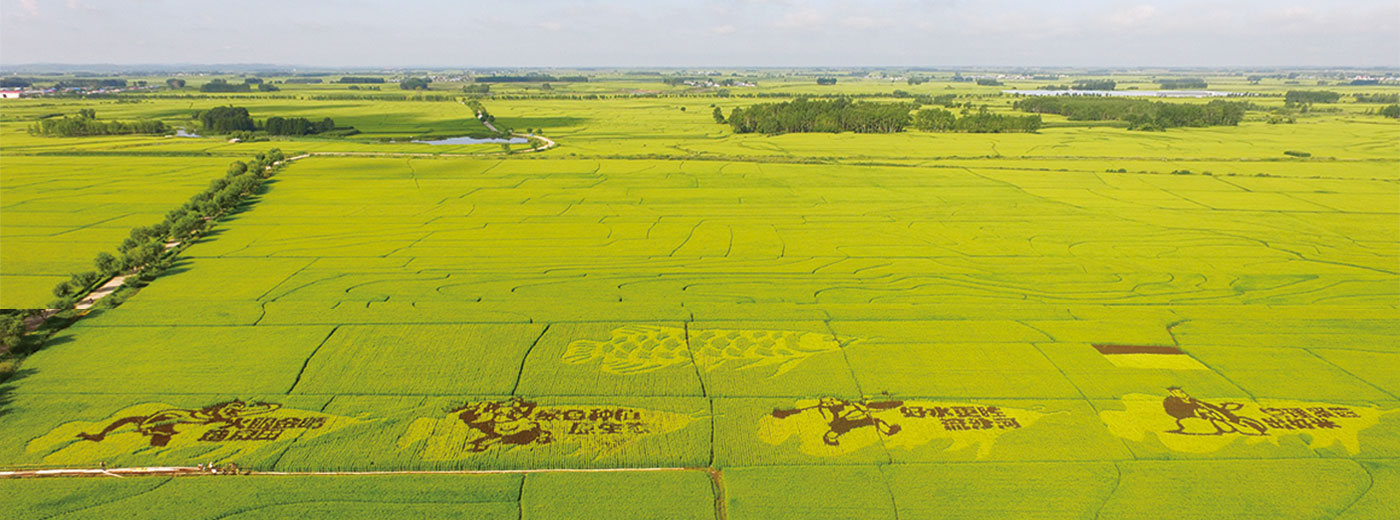 不朽情缘(MG)官网登录入口