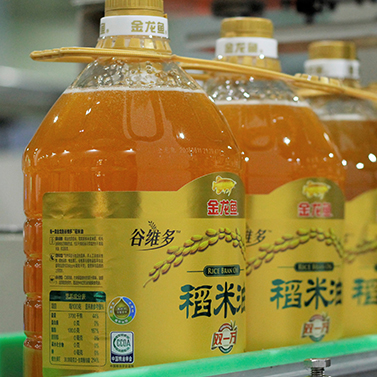 不朽情缘(MG)官网登录入口