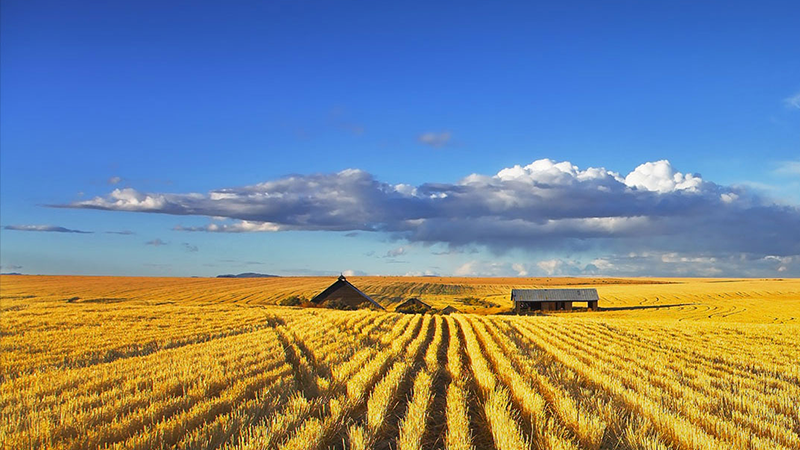 不朽情缘(MG)官网登录入口