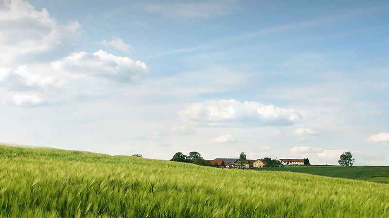 不朽情缘(MG)官网登录入口