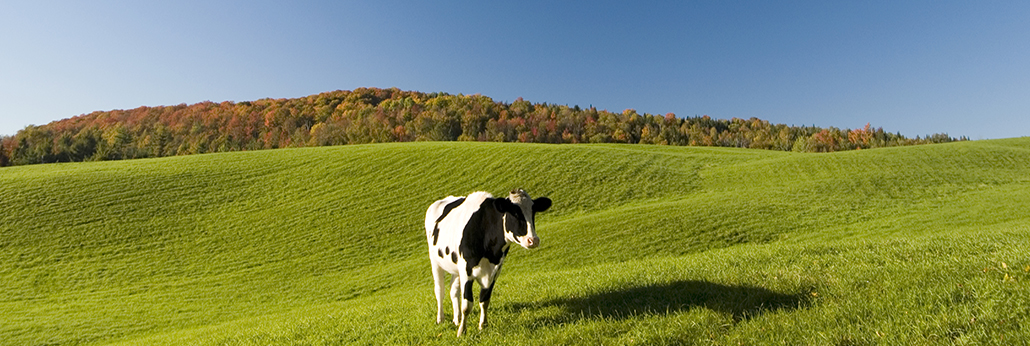 不朽情缘(MG)官网登录入口