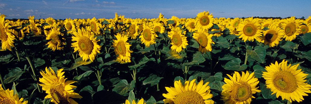 不朽情缘(MG)官网登录入口