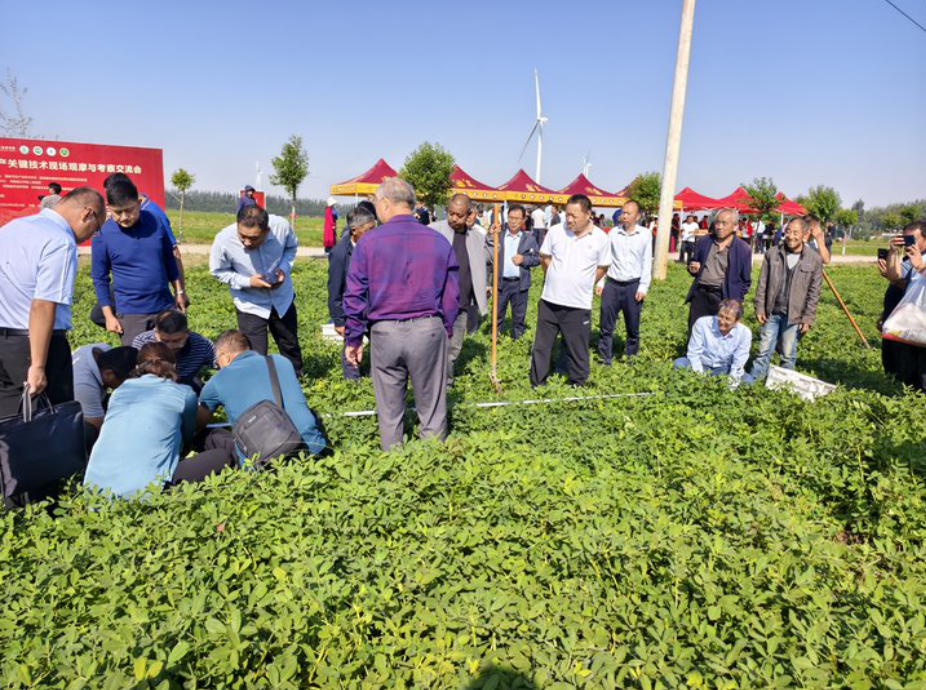不朽情缘(MG)官网登录入口